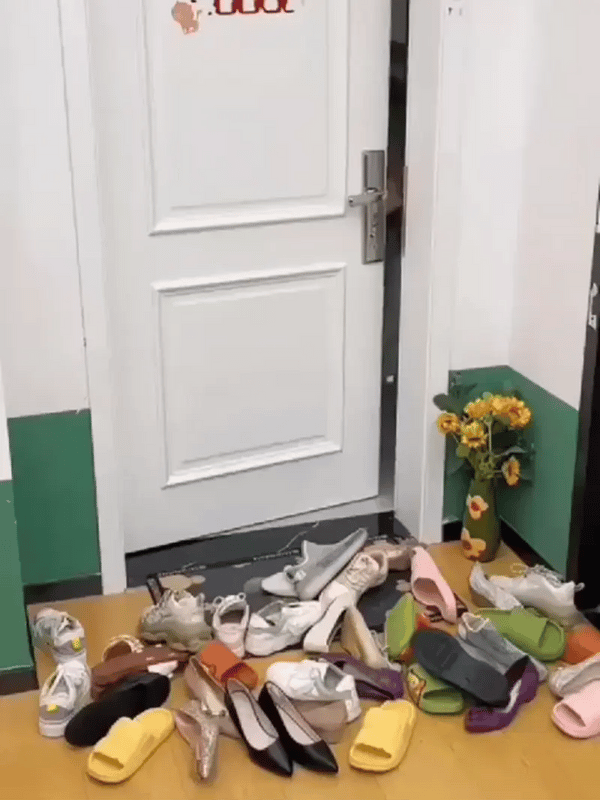 TIJDELIJK 50% KORTING Shoenixā¢