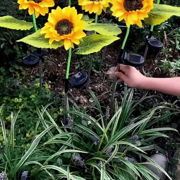 1 + 1 GRATIS VANDAAG SolarBloom™