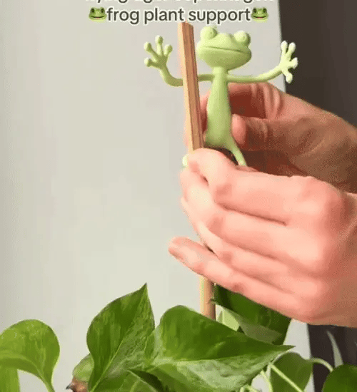 1 + 1 GRATIS VANDAAG SproutFrogâ˘