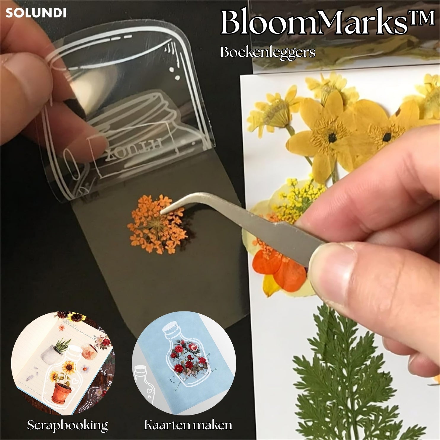 LAATSTE DAG 50% KORTING | BloomMarks⢠| Knutsel met natuurlijke bloemen!