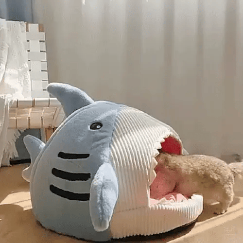 50% OFF VANDAAG SharkSnug™