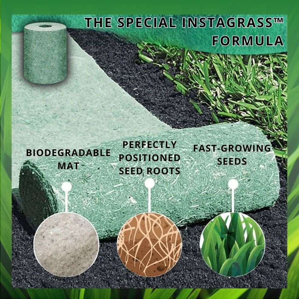 InstaGrass™ | Bereik het hele jaar door een weelderig, groen gazon!
