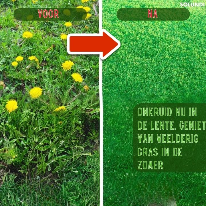 WeedBuster⢠| Tuinieren effectief overwinnen!
