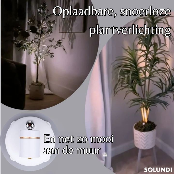 SpotPerfect⢠| Verander je huis in een luxueus toevluchtsoord!