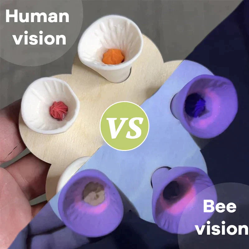 TIJDELIJK 50% KORTING | BeeQuench™ | 🐝 Set van 5 bij-insect drinkbekers