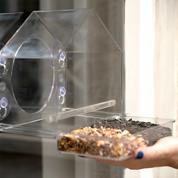 PerchView™ | Maak van je raam een persoonlijk vogelreservaat!