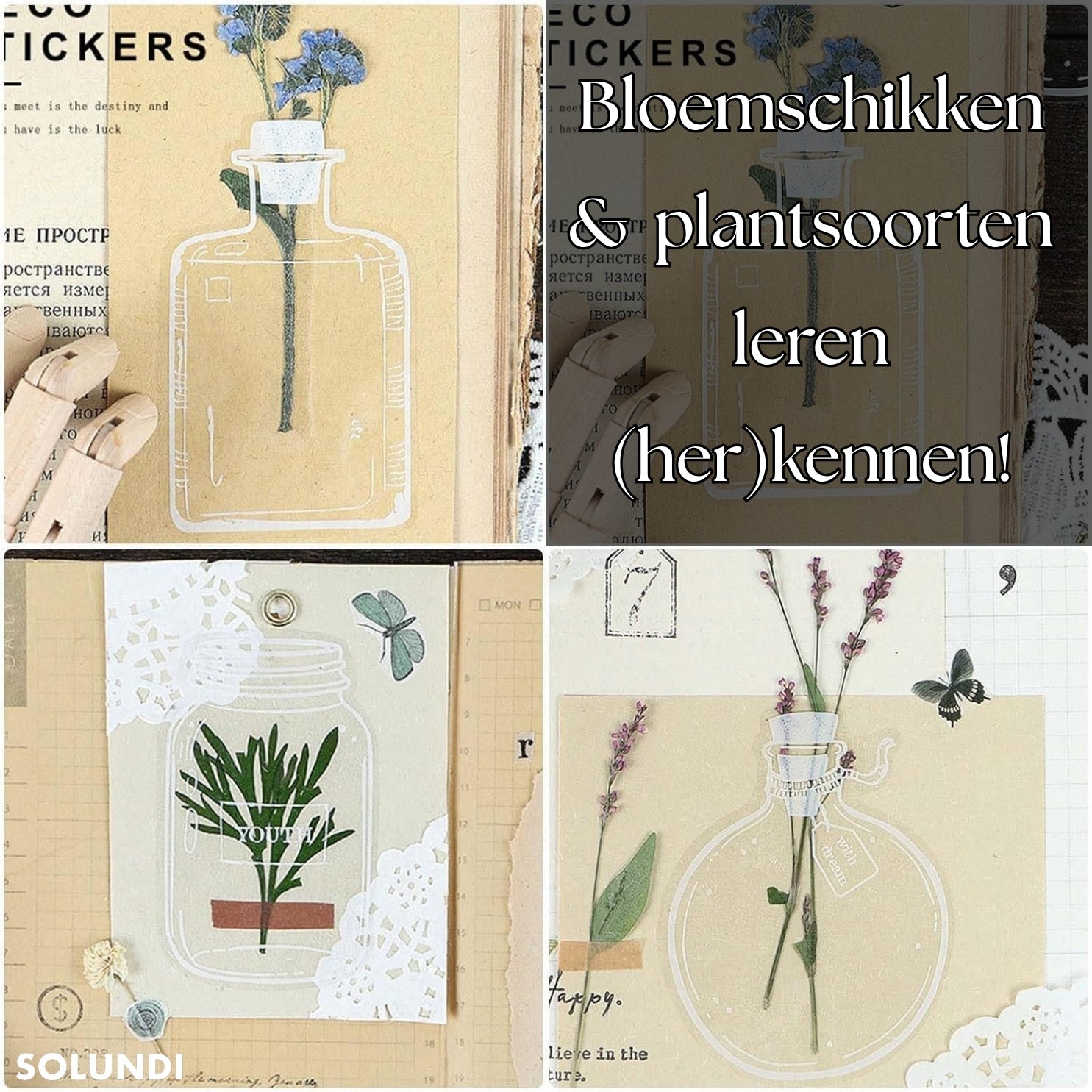 LAATSTE DAG 50% KORTING | BloomMarks⢠| Knutsel met natuurlijke bloemen!