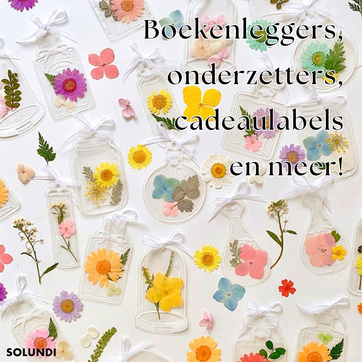 LAATSTE DAG 50% KORTING | BloomMarks⢠| Knutsel met natuurlijke bloemen!