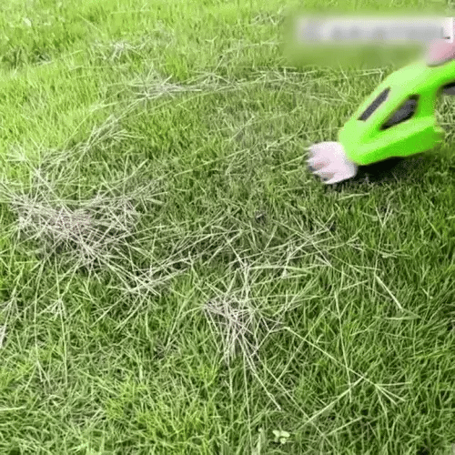 TIJDELIJK 50% KORTING GreenTrim™