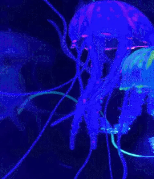 50% OFF VANDAAG GlowQuatic™