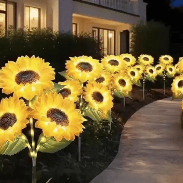 1 + 1 GRATIS VANDAAG SolarBloom™