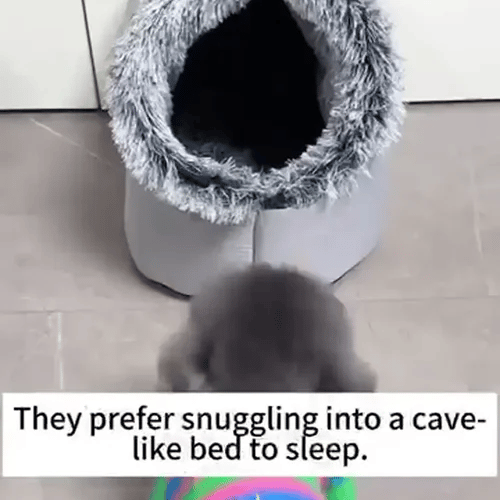 TIJDELIJK 50% KORTING SnugPod™