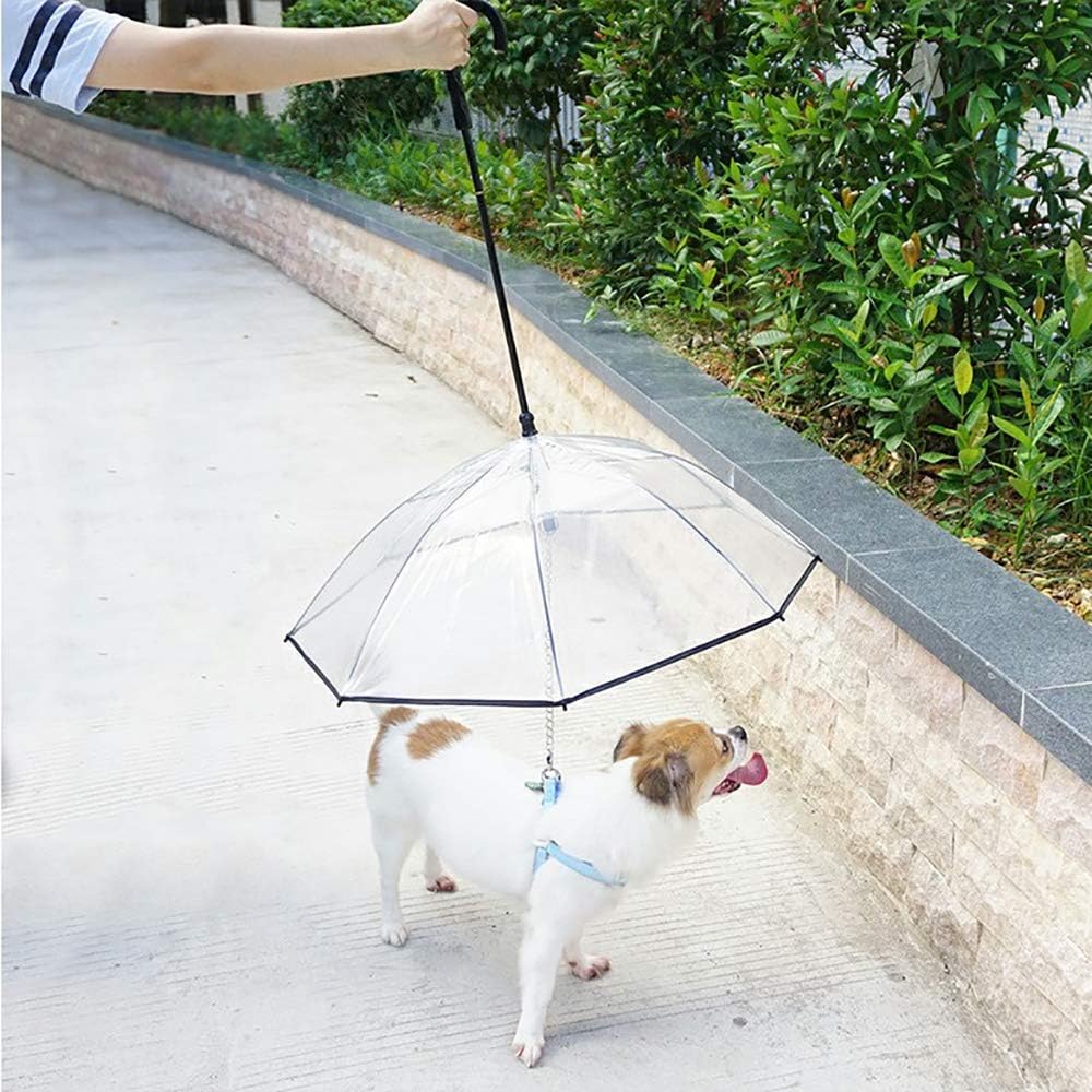TIJDELIJK 50% KORTING | PawBrella™