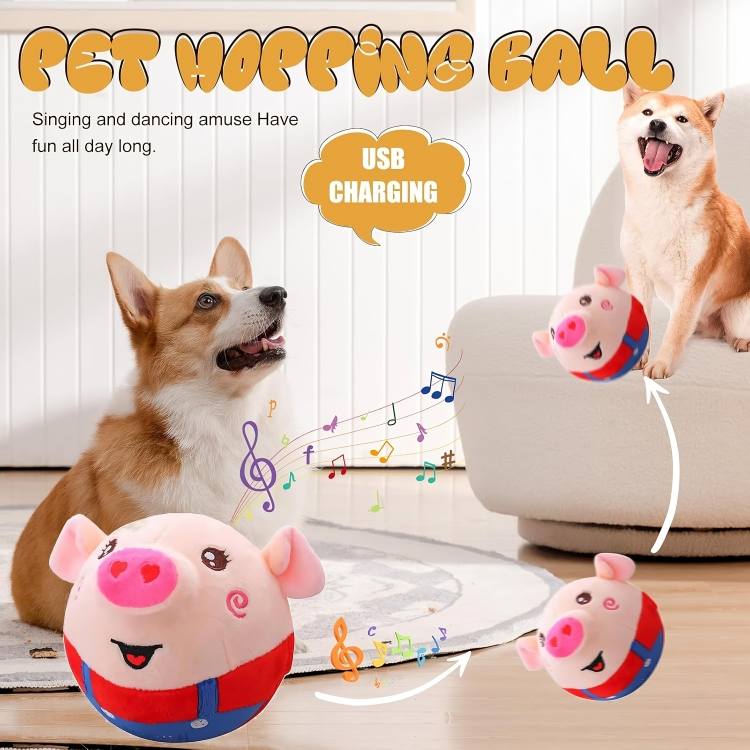 BarkBounce⢠| Een speeltje dat je hond nooit meer uit handen wil geven!