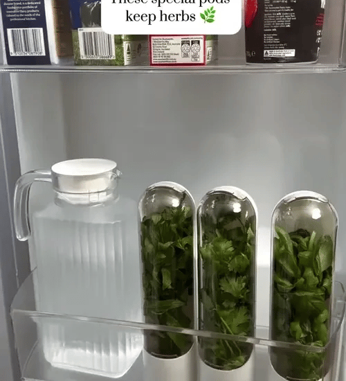 1 + 2 GRATIS VANDAAG HerbPod™