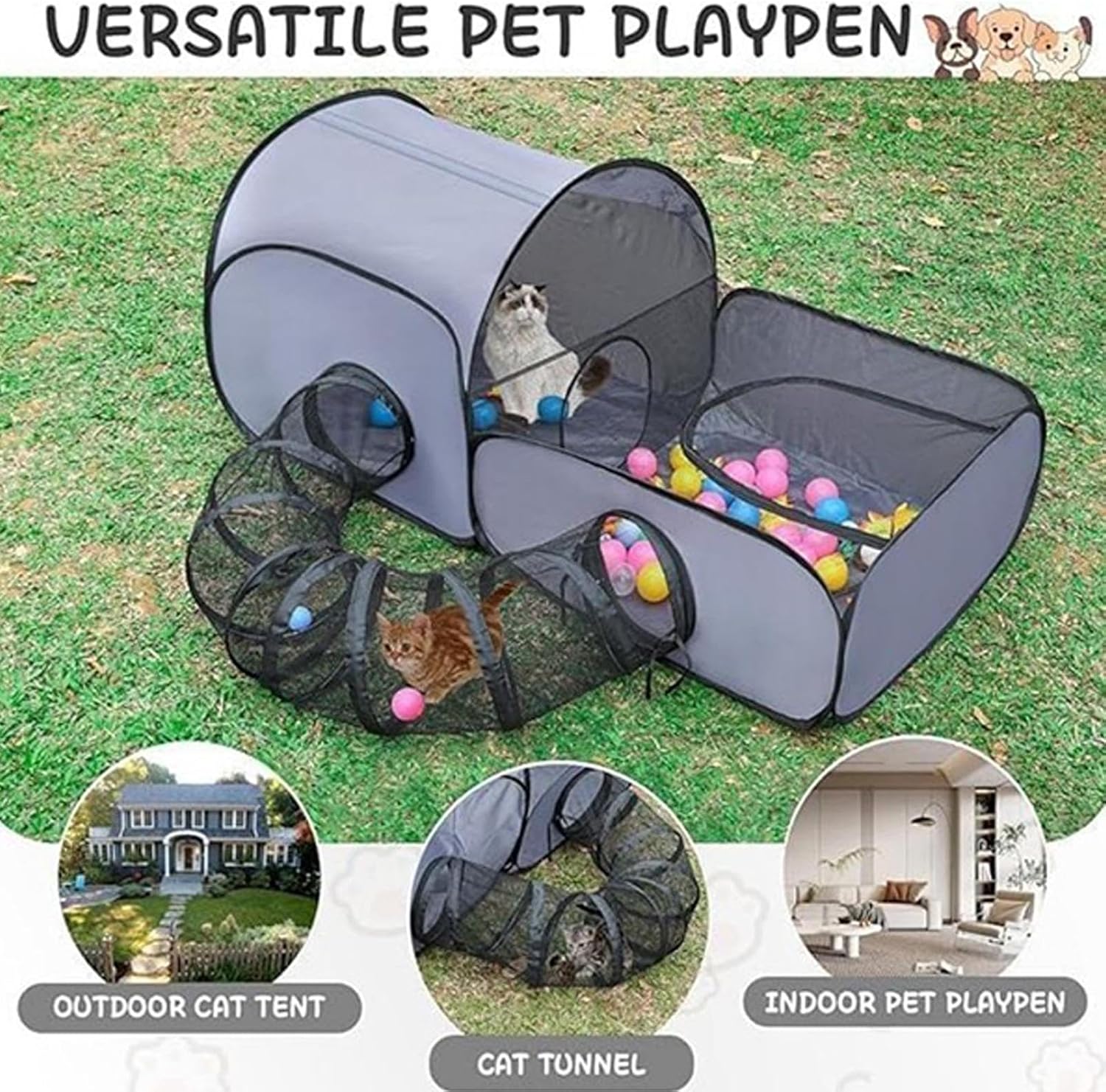 TIJDELIJK 50% KORTING | KittyCamp™