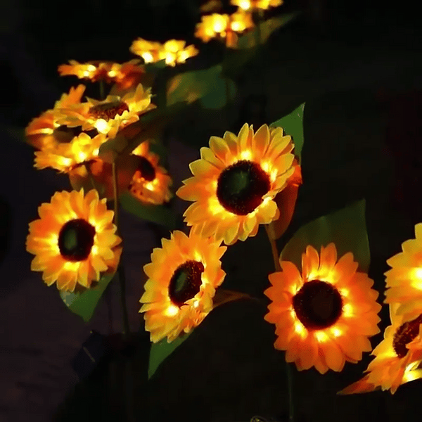 1 + 1 GRATIS VANDAAG SolarBloom™