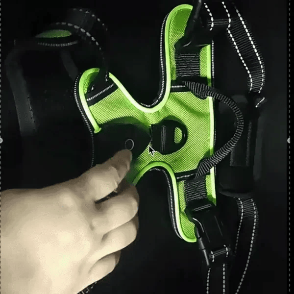 TIJDELIJK 50% KORTING GloLeash™