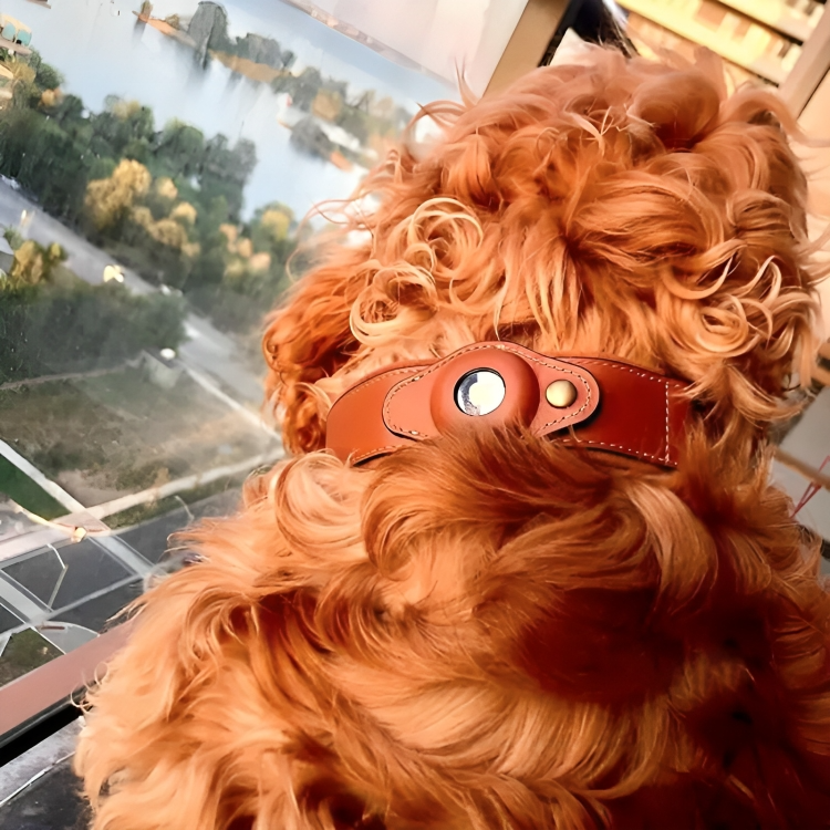 TrackTails⢠| Leren hondenhalsband met AirTag zakje