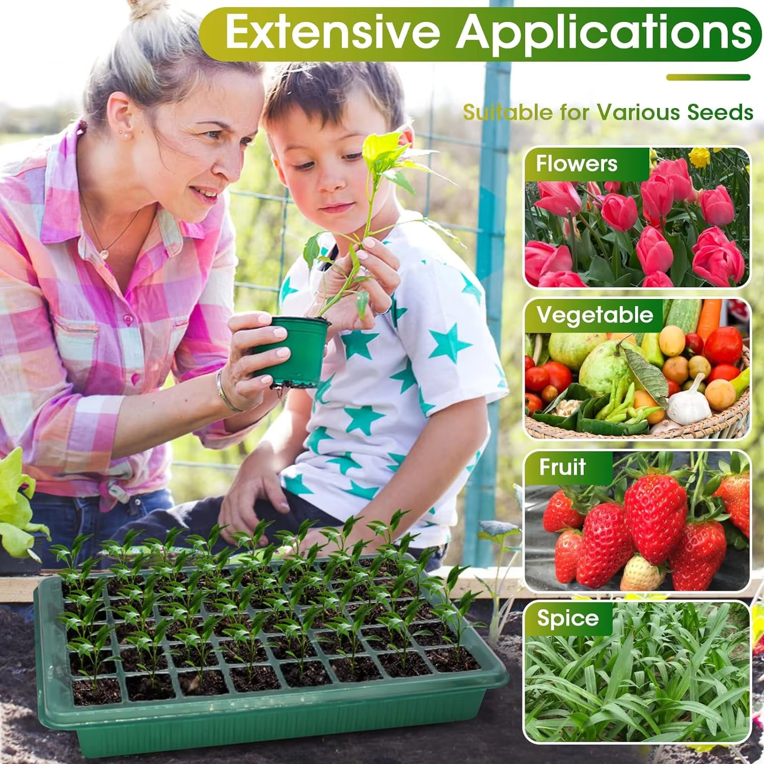 TIJDELIJK 50% KORTING | SproutBox™