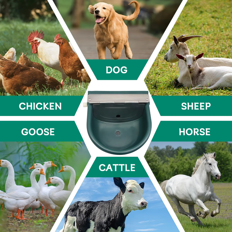 DrinkSure⢠| Het probleemloze waterstation voor huisdieren en boerderijdieren!