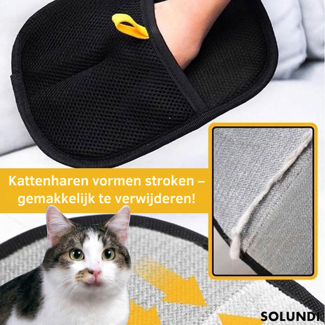 1 + 1 GRATIS VANDAAG | FuzzAway⢠| Directe verwijdering van haren van huisdieren!