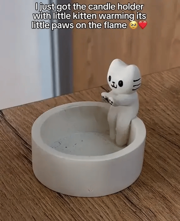 1 + 1 GRATIS VANDAAG FelineFlameā¢