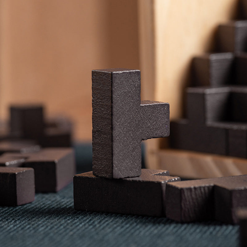 TIJDELIJK 50% KORTING | MindMaze⢠| 3D intelligent houten puzzelspel