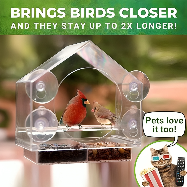 PerchView™ | Maak van je raam een persoonlijk vogelreservaat!