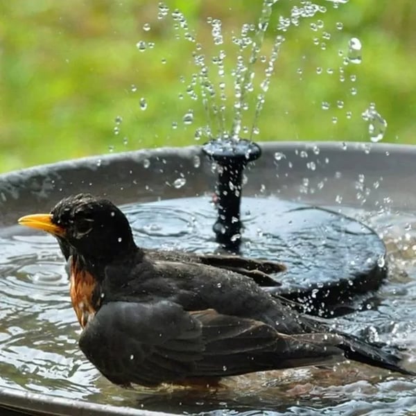 TIJDELIJK 50% KORTING | SolarFlow™