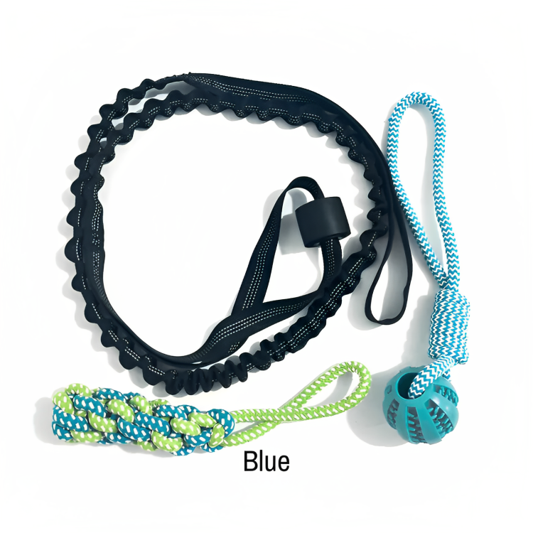 PupTug⢠| Eindeloos interactief spelen voor actieve honden!