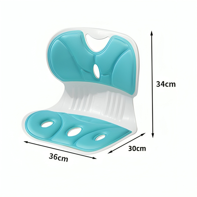 PostureAlign⢠| Lendesteun zitkussen