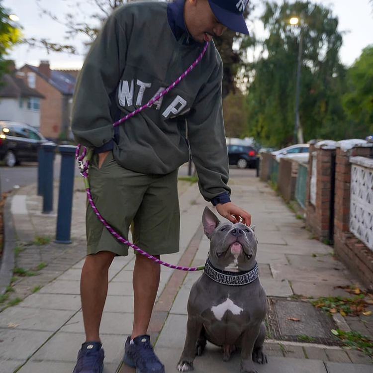 PawVentures⢠| Premium handenvrije hondenriem