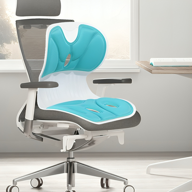 PostureAlign⢠| Lendesteun zitkussen