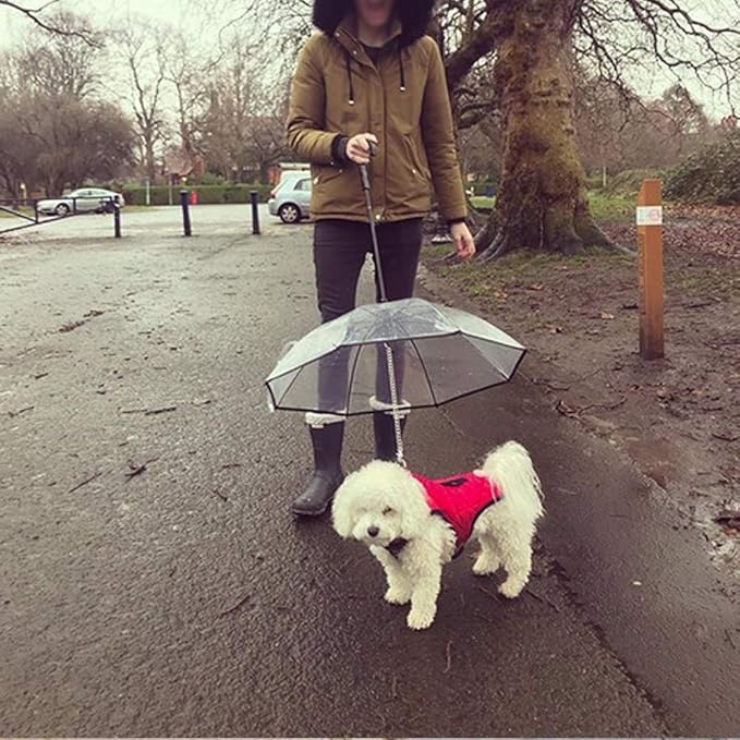 TIJDELIJK 50% KORTING | PawBrella™