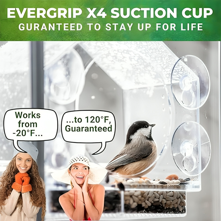 PerchView™ | Maak van je raam een persoonlijk vogelreservaat!