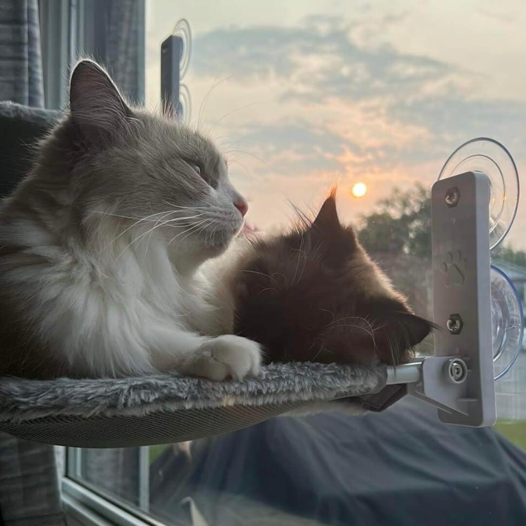 CatNook⢠| Opvouwbare kattenhangmat