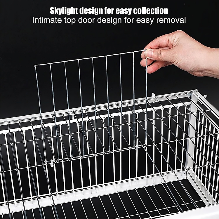 SafeTrap⢠| Vogelkooi Val