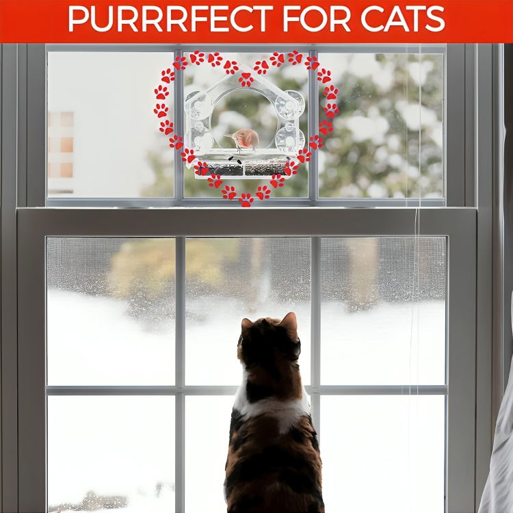 PerchView™ | Maak van je raam een persoonlijk vogelreservaat!