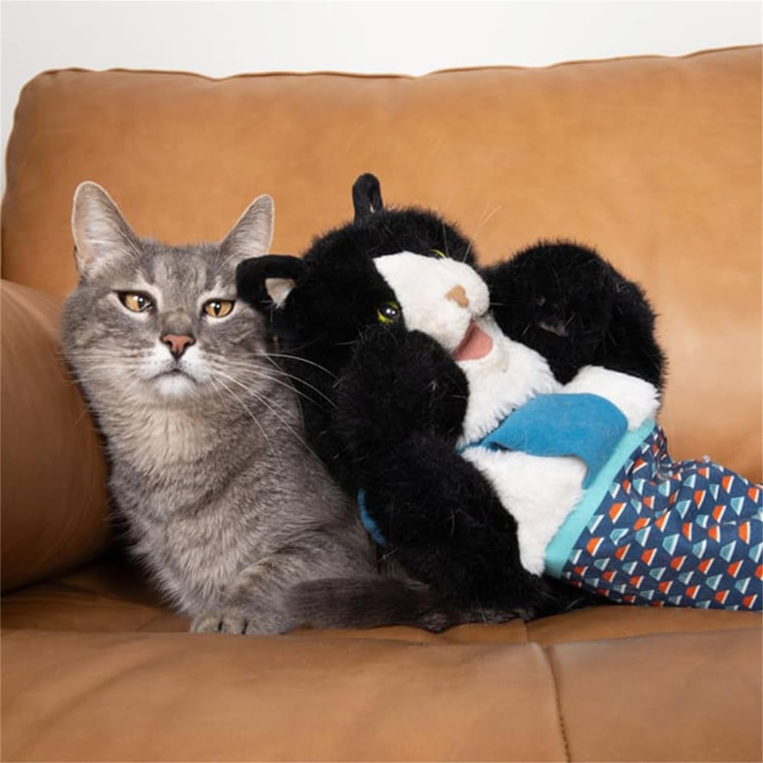 WhiskerWrestler™ | Houd je kat actief met boeiend, interactief spel!