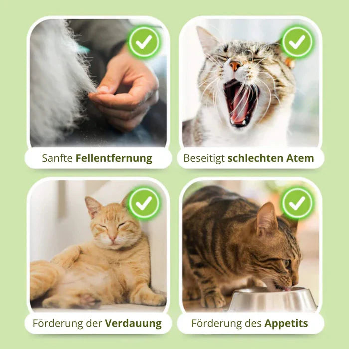 1+1 GRATIS TIJDELIJK | WhiskerWonder⢠| Gezond kauwspeelgoed voor een gelukkige, haarbalvrije kat!