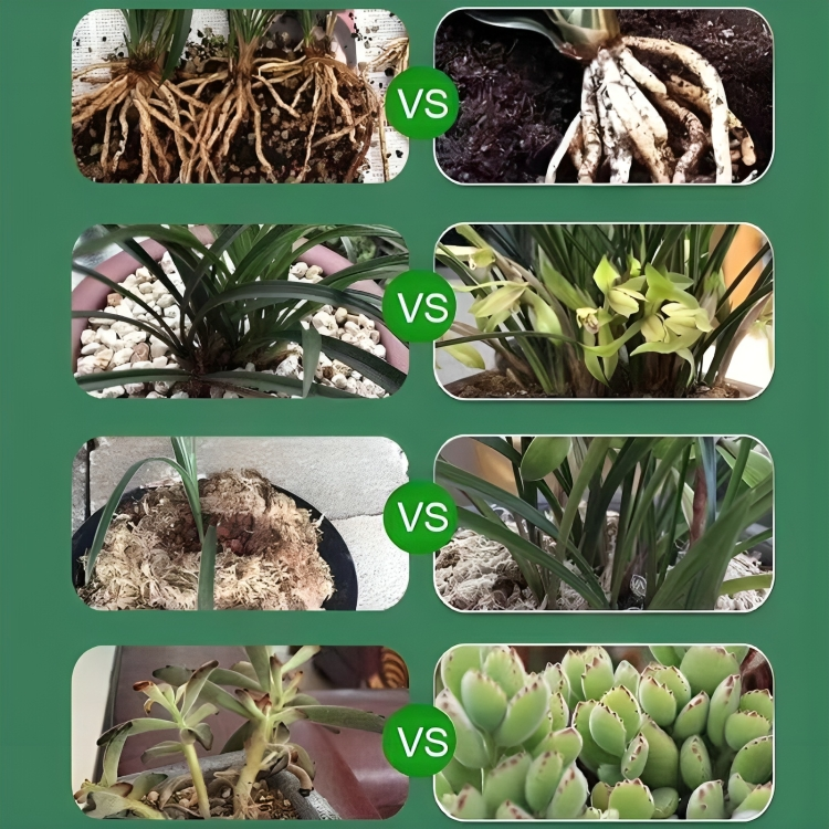 2 + 1 GRATIS VANDAAG | BotanicBoost™