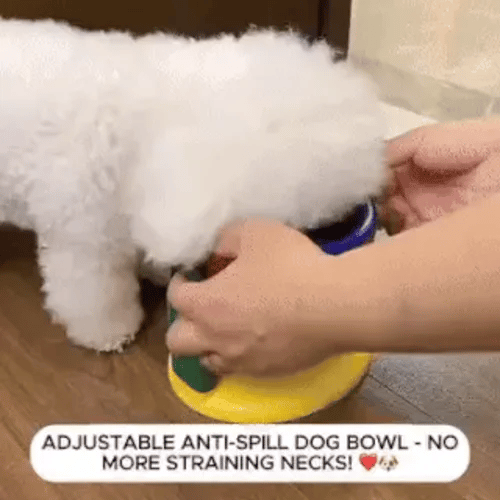 TIJDELIJK 50% KORTING  BowlBuddy™ 