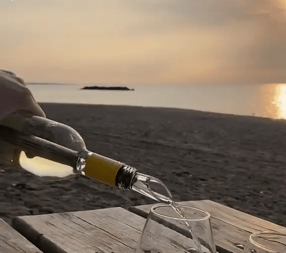 TIJDELIJK 50% KORTING  ChillRod™ - Vino Chill
