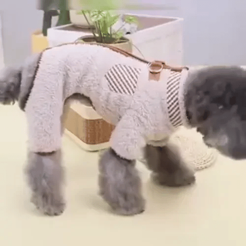 TIJDELIJK 50% KORTING  SnugPaw™