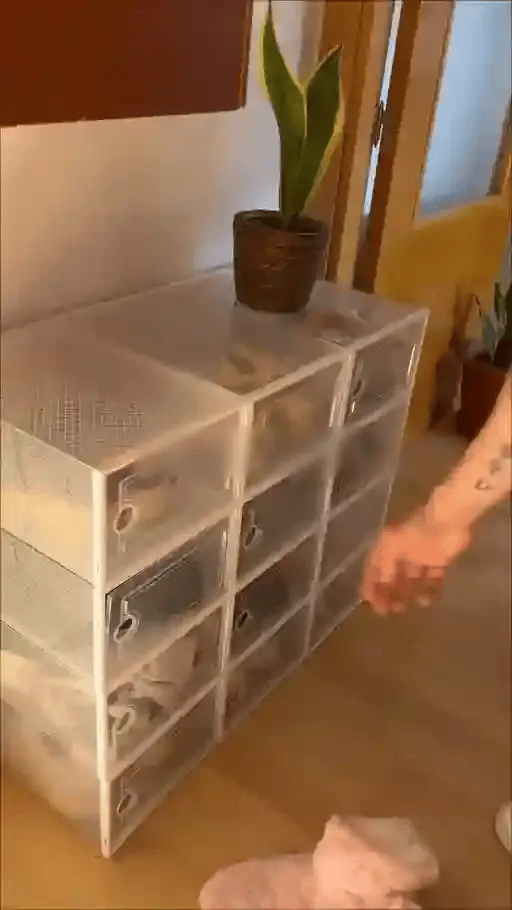 3 + 3 GRATIS VANDAAG  ShoeStack™
