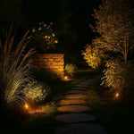 1 + 1 GRATIS VANDAAG | TerraGlow™ - Zonnespot