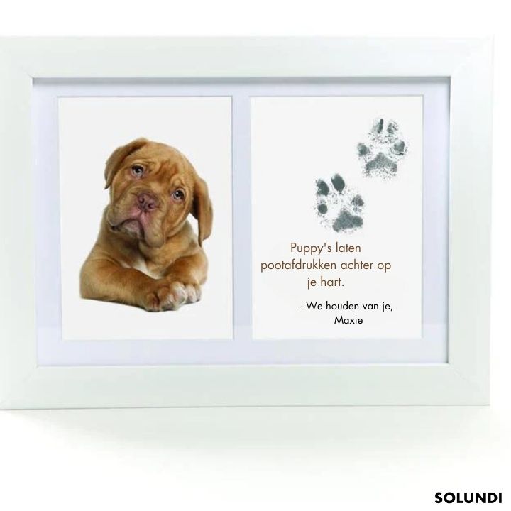 TIJDELIJK 50% KORTING | PawMemoirs™ - Aandenken met pootafdruk
