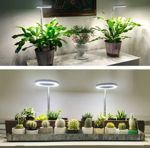 TIJDELIJK 50% KORTING  LumiSprout™