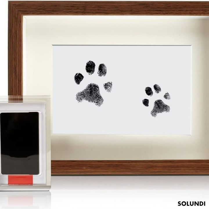 TIJDELIJK 50% KORTING | PawMemoirs™ - Aandenken met pootafdruk